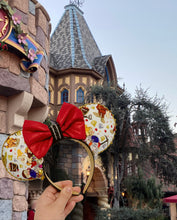 Load image into Gallery viewer, Fabric Ears